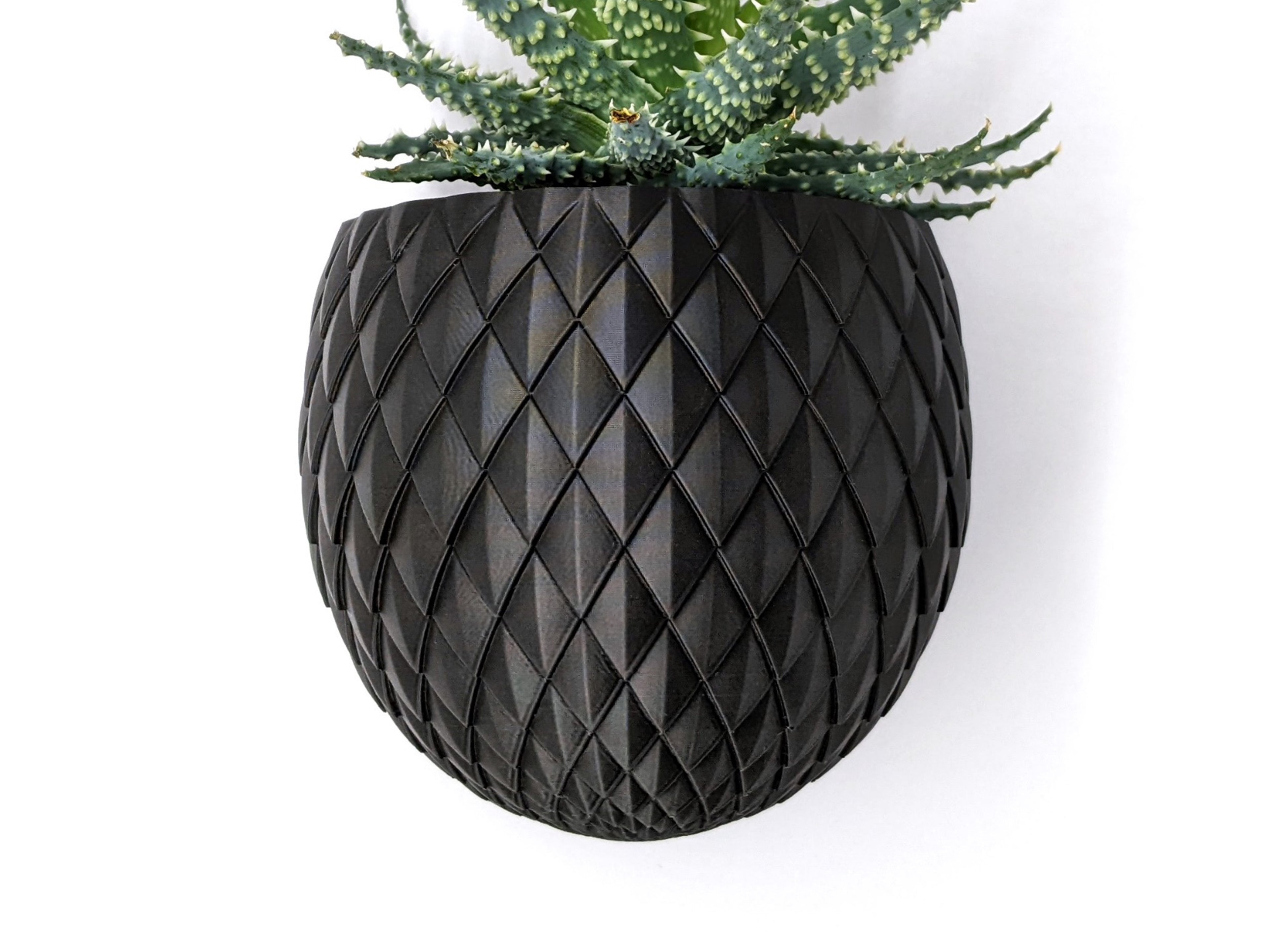 Maceta Dragon's Egg