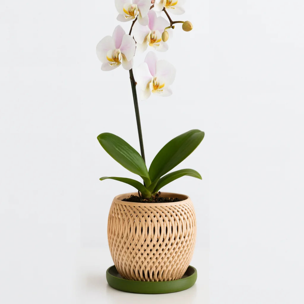 Macetas para Orquideas
