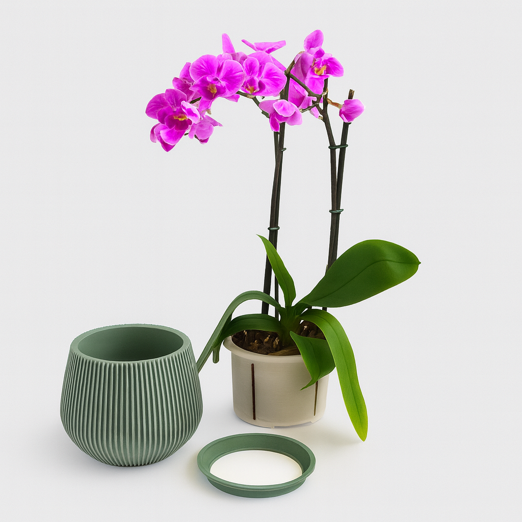 Céline - Maceta para Orquídeas