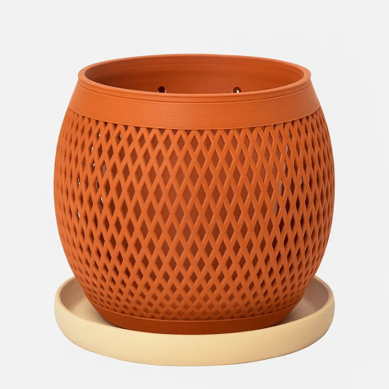 Aura - Macetas para Orquídeas