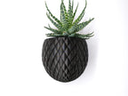Maceta Dragon's Egg