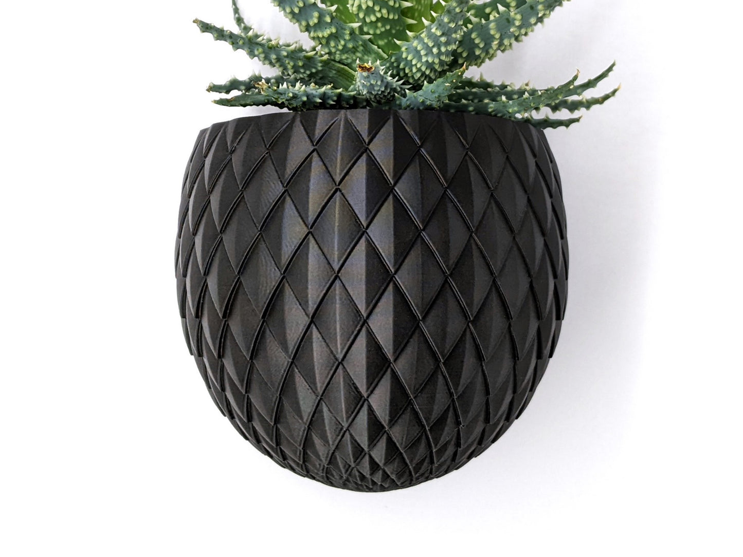 Maceta Dragon's Egg
