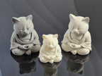 Gato Buddha