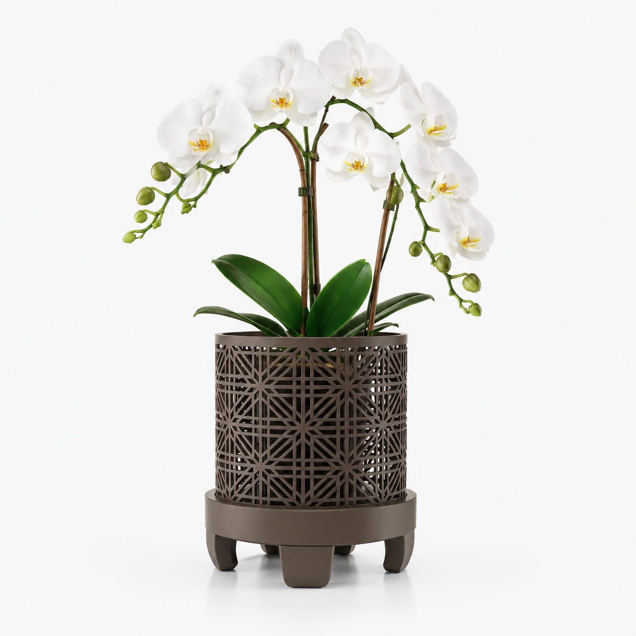 Kumika - Maceta para Orquídeas