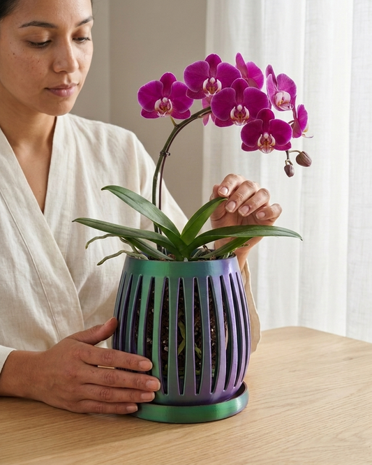 Máxima - Maceta para Orquídeas con Ventilación 360°